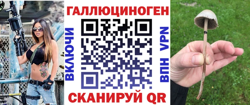 Галлюциногенные грибы Psilocybine cubensis  Купить  Касимов 